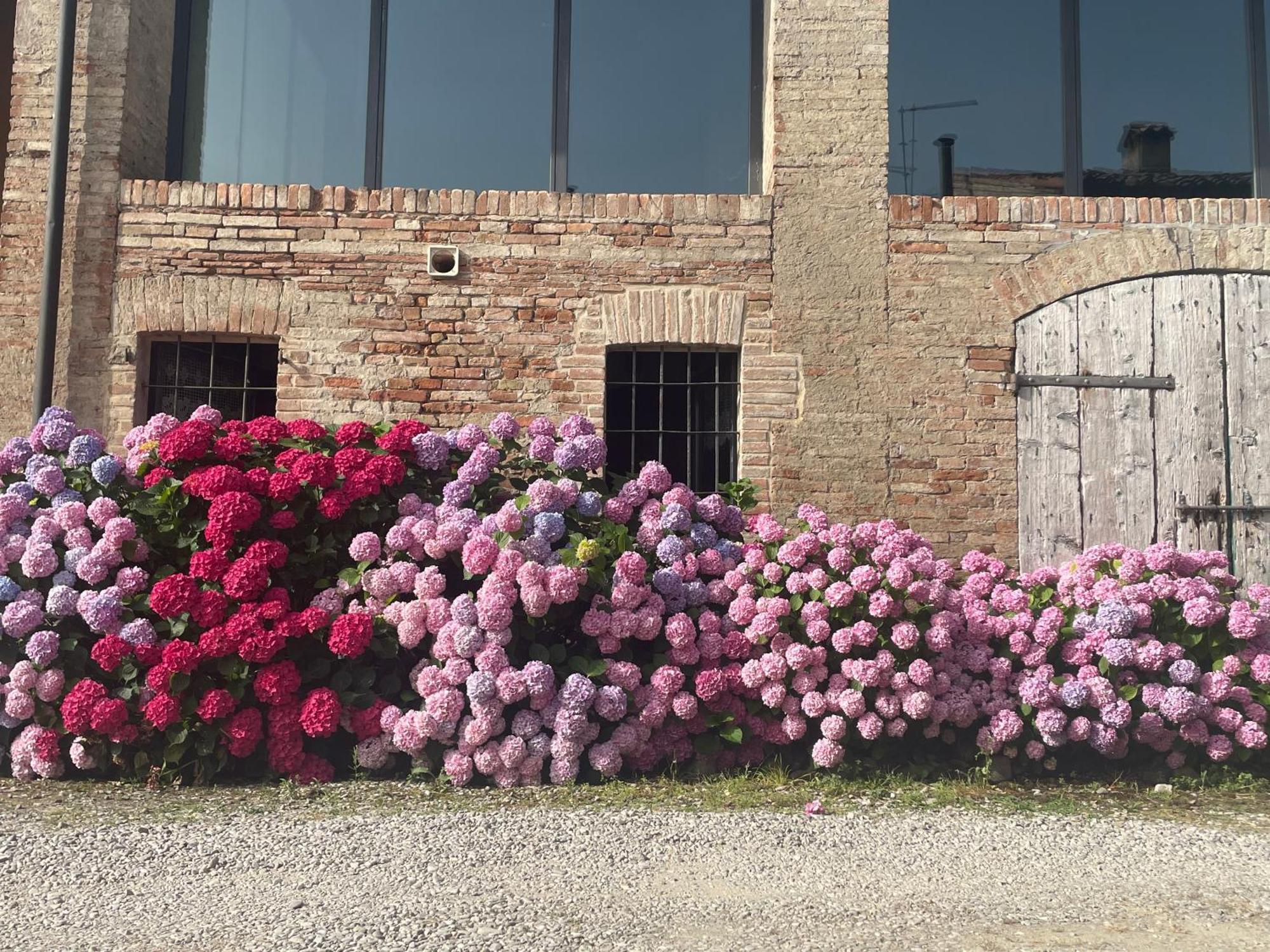 Viarolo B&B Il Conte Giacomo المظهر الخارجي الصورة